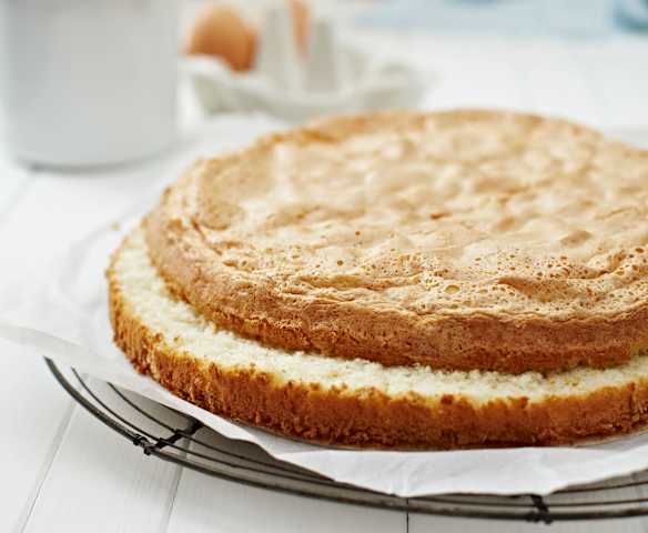 Piškotový korpus (bez lepku)