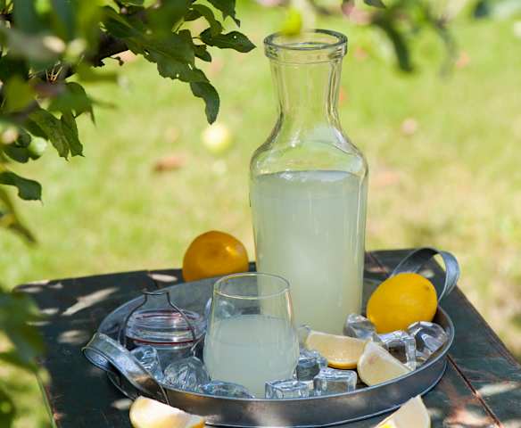 Lemoniada z melisą Lemoniada z melisą