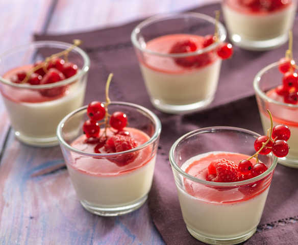 Panna cotta
