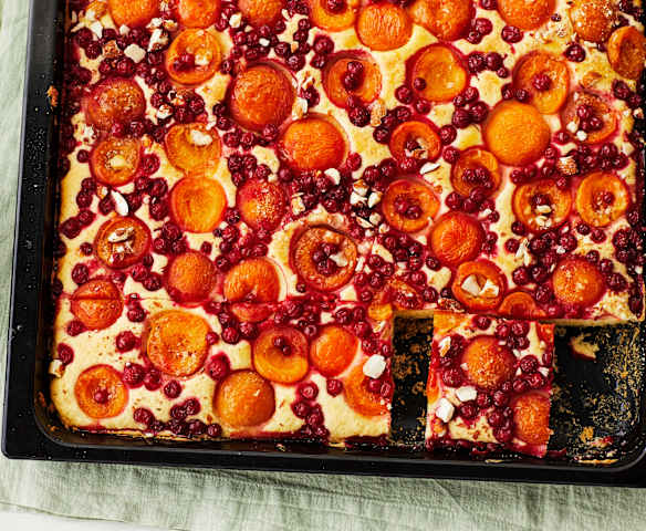 Aprikosen-Johannisbeer-Kuchen Aprikosen-Johannisbeer-Kuchen