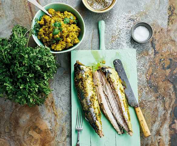 Cavala a vapor com esmagada de grão