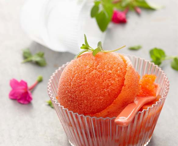 Sorbet poivron rouge