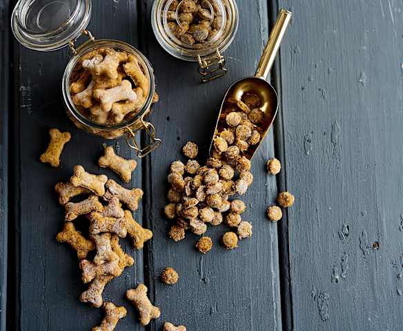Biscoitos para o cão e para o gato