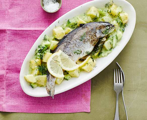 Forelle mit Kartoffel-Gurken-Gemüse
