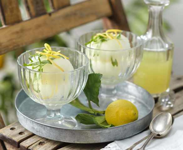 Limoncello Sorbet mit Minze und Basilikum