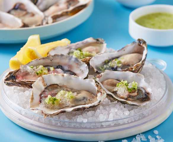 Oysters with Lime Granita