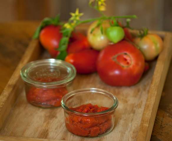 Concentrado de tomate Concentrado de tomate