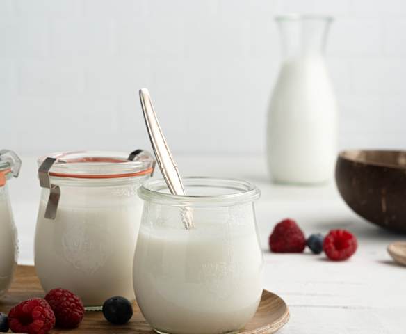 Iogurte vegan de coco