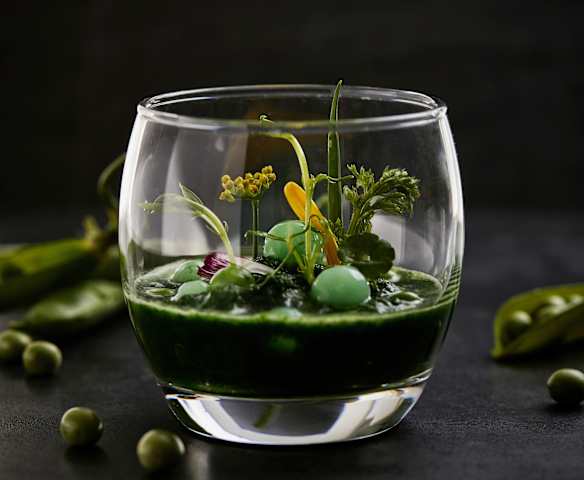 抹茶小圆子 抹茶小圆子