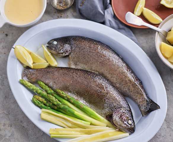 Trutas com molho holandês