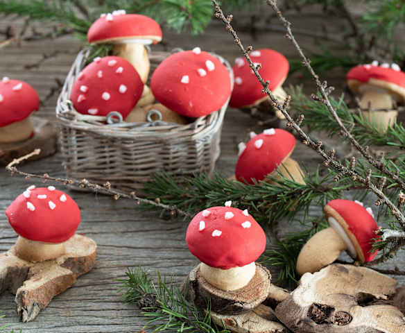 Galletas champiñón