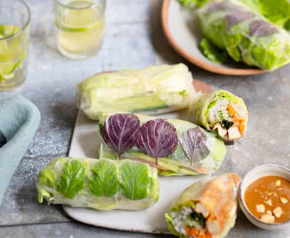 Rouleaux de printemps au tofu grillé
