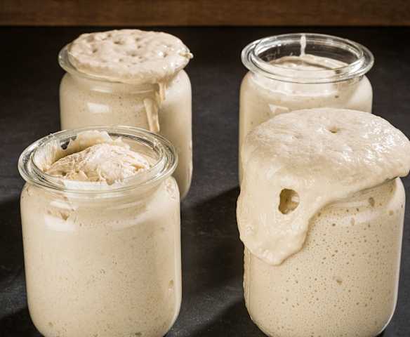 Apfel-Weizensauerteig