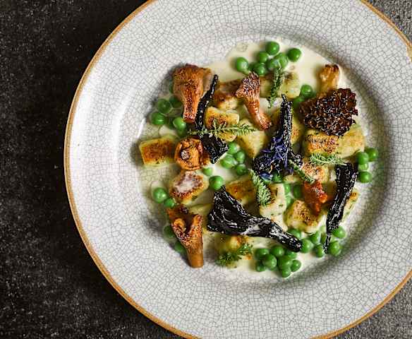 Bylinkové noky, divoké houby, hrášek a omáčka z vyzrálého sýra