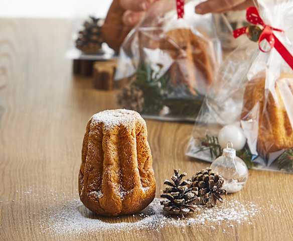 Mini Pandorini (TM6)