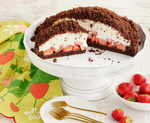 Erdbeer-Maulwurfkuchen Erdbeer-Maulwurfkuchen