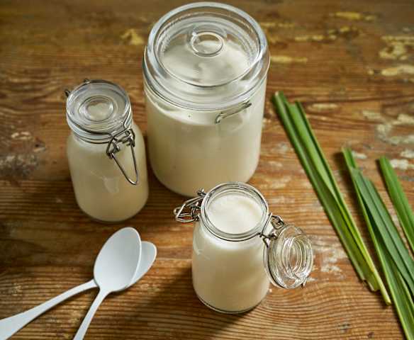 Iogurte grego com erva-príncipe