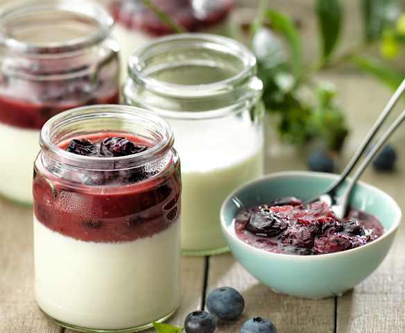 Homemade Yogurt with Blueberry and Apple Compote