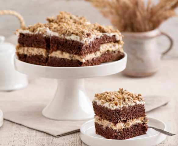 Ciasto słonecznikowiec