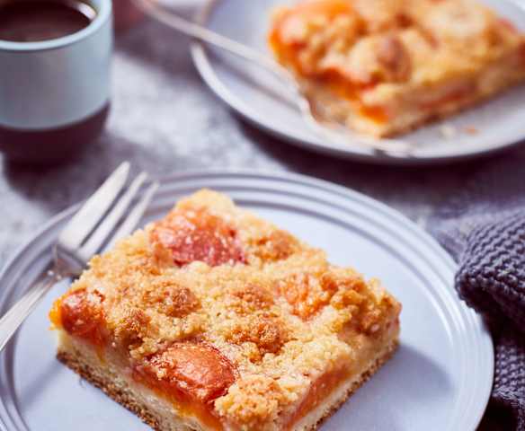 Kokos-Aprikosen-Butterkuchen Kokos-Aprikosen-Butterkuchen