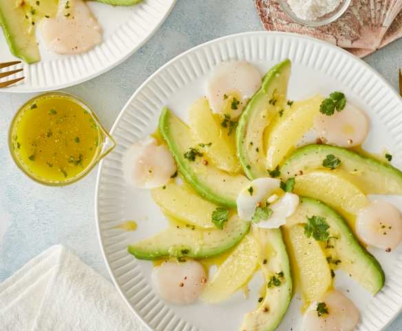 Carpaccio de saint-jacques à la coriandre et huile d'avocat