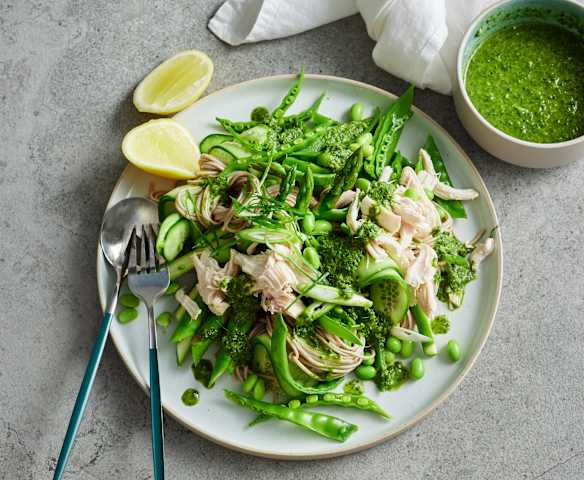 Shredded Chicken Noodle Salad with Green Miso (Diabetes)