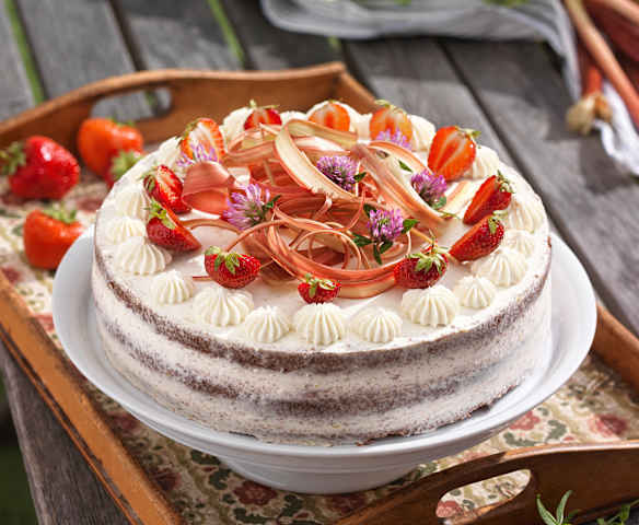 Erdbeer-Rhabarber-Torte mit Schokoladenbiskuit und Mascarpone-Topfencreme