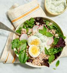 Farro Salad with Cucumber Yogurt Dressing