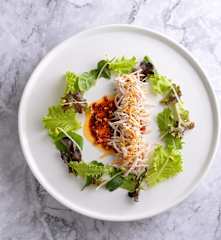 韓風辣拌雞絲沙拉