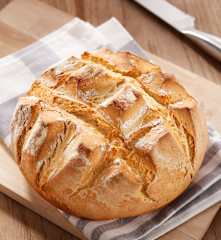 Snel brood
