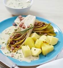 Chicorée mit Schinken, Kartoffeln und Senfsauce