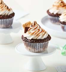 Smores Cupcakes