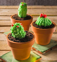 Cup-cakes de cactus