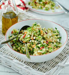 Fenchel-Apfel-Salat