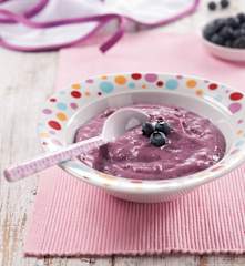 Milk and Oat Flakes Pudding with Fruit Purée