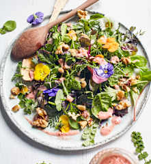 Wildkräutersalat mit Himbeer-Walnuss-Dressing
