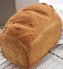 Bánh mì gối trắng