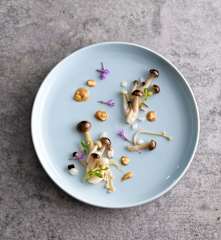 花生醬菇菇溫沙拉