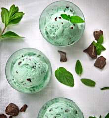 Mint Chocolate Chip Ice Cream