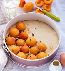 Quark-Öl-Grundteig