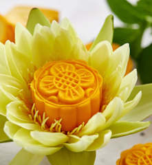 芒果芝士南瓜冰皮月饼