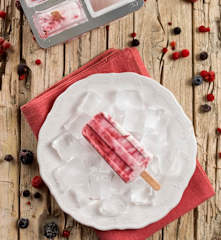 Gelado de leite de coco e frutos silvestres