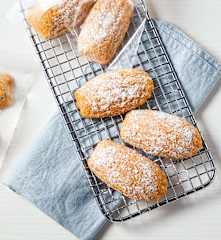 Vanilla Madeleines