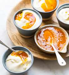 Mousse de yaourt à l’abricot