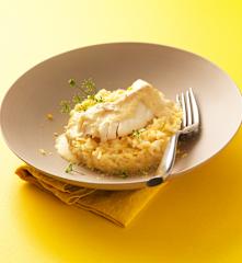 Cabillaud sauce vanille, risotto aux agrumes