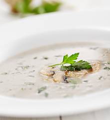 Žampiónová krémová polévka