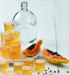 Jelly shots de papaia