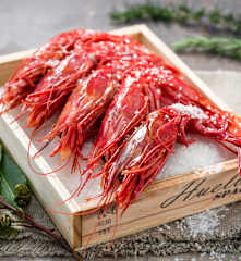 Carabineros a la sal