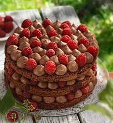 Naked Cake mit Himbeeren und Ganache