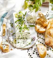 Terrine de fromage frais aux herbes